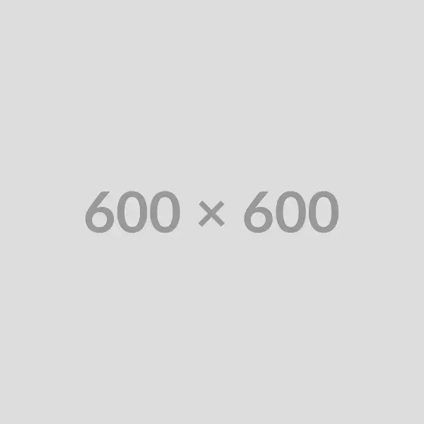 Startup pitch presentation to investors